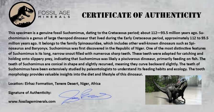 Authentic 1.7