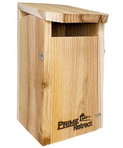 Premium Slant Front Eastern Bluebird House - Weatherproof Cedar Wood Birdhouse for Outdoor Garden, Backyard & Nature Conservation | Attracts Bluebirds & Songbirds | Ideal for Bird Watching & Wildlife Habitat Enhancement