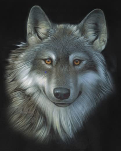Timber Wolf Face Men's Sweatshirt - Cozy Pullover Hoodie for Outdoor Adventures & Casual Wear