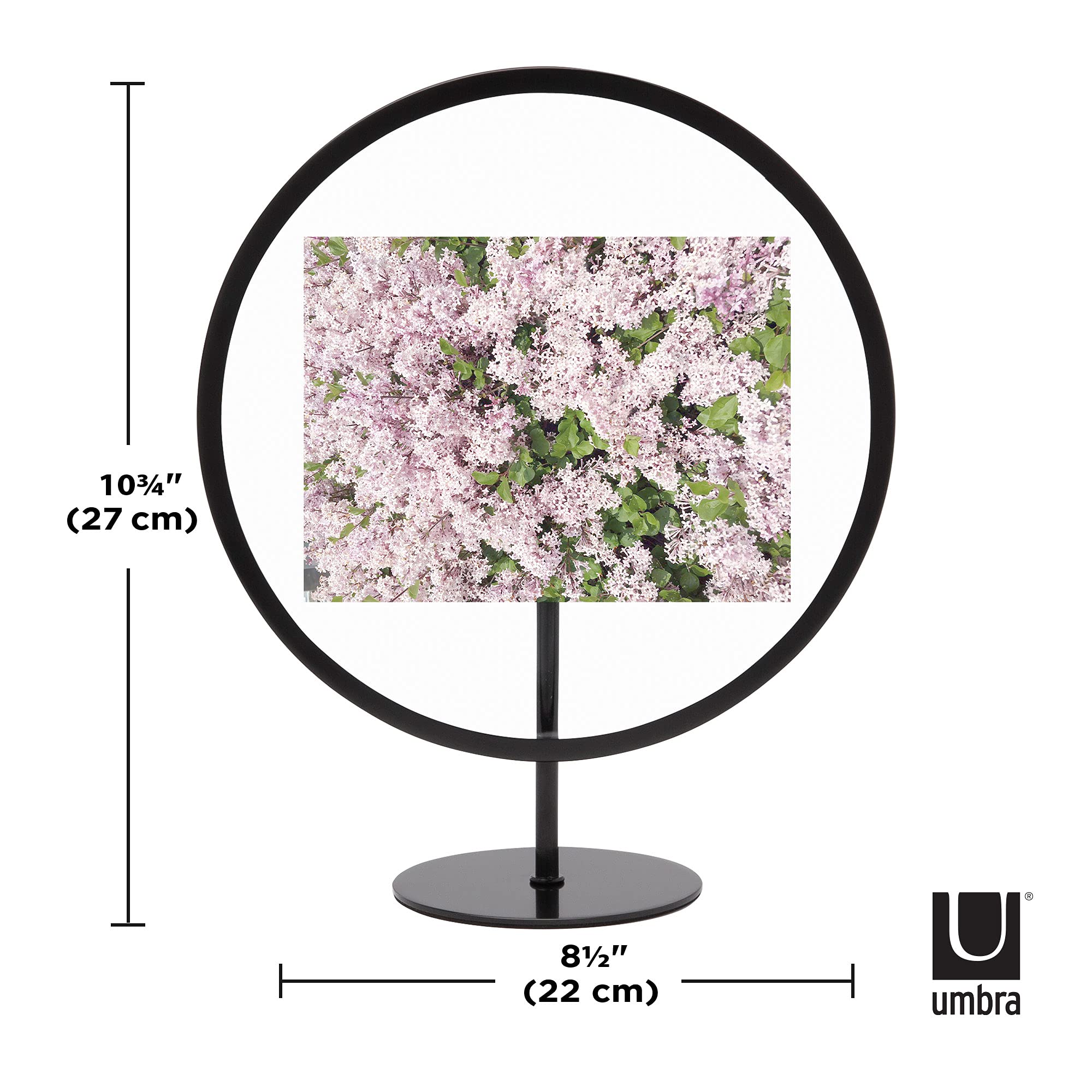 Umbra Infinity Floating Picture Frame - 4x6 Black Photo Display for Desk or Wall - Perfect for Home, Office Decor & Gift Giving