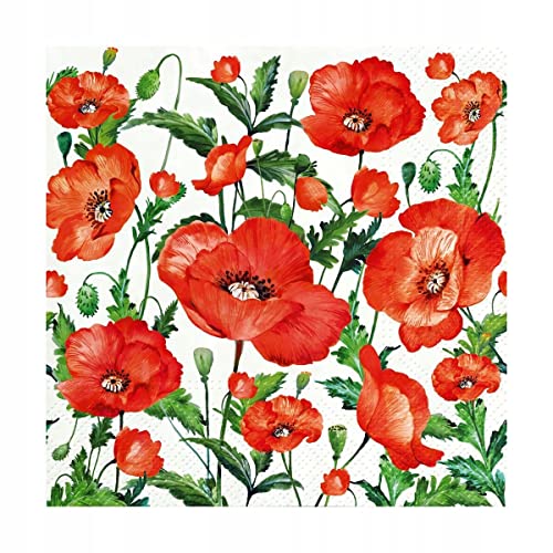 Flanders Poppy