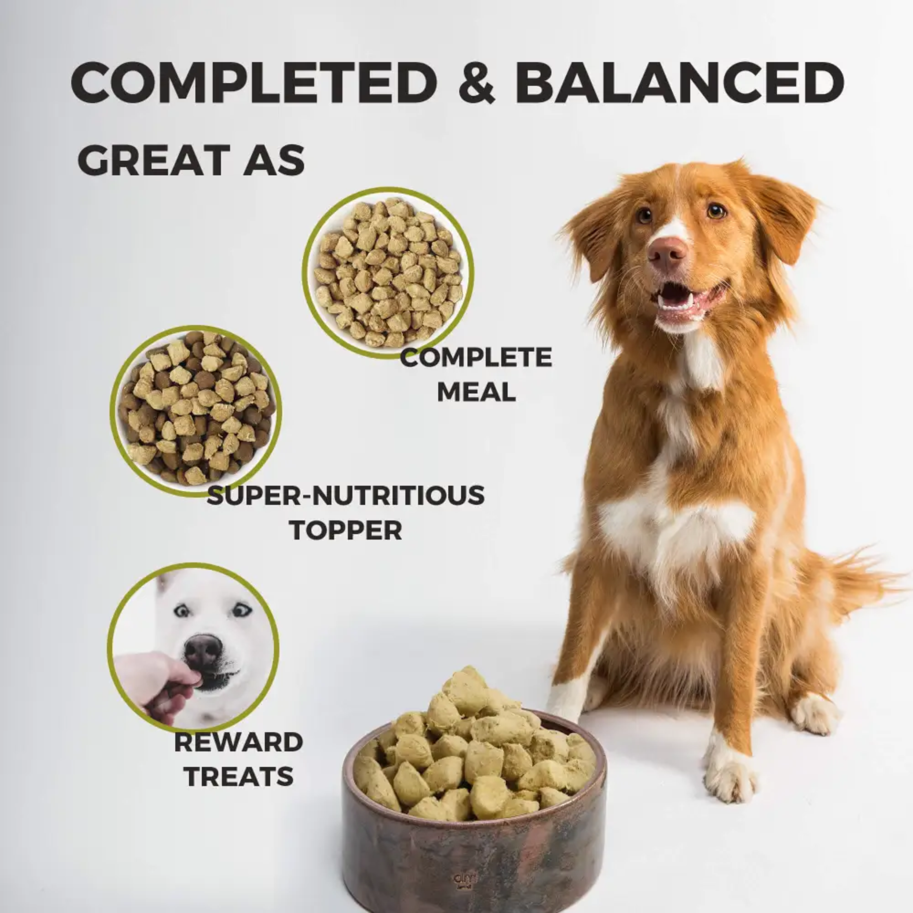 Premium Freeze-Dried Raw Dog Food for Sensitive Digestion - Grain-Free, Hypoallergenic Recipe for Small & Large Breeds - Perfect for Picky Eaters & Dogs with Allergies - Indoor/Outdoor Use