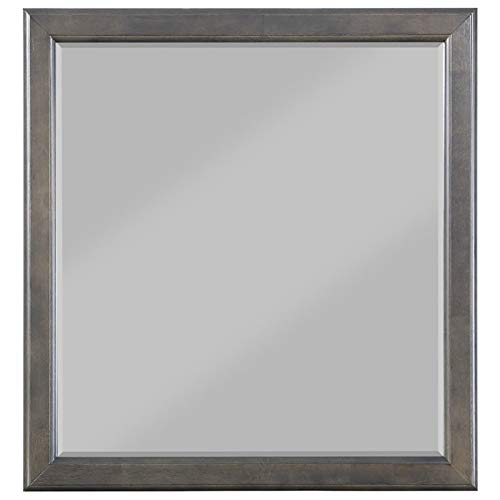 Acme Louis Philippe Wall Mirror in Dark Gray - Elegant Full-Length Mirror for Bedroom, Living Room, and Entryway Decor