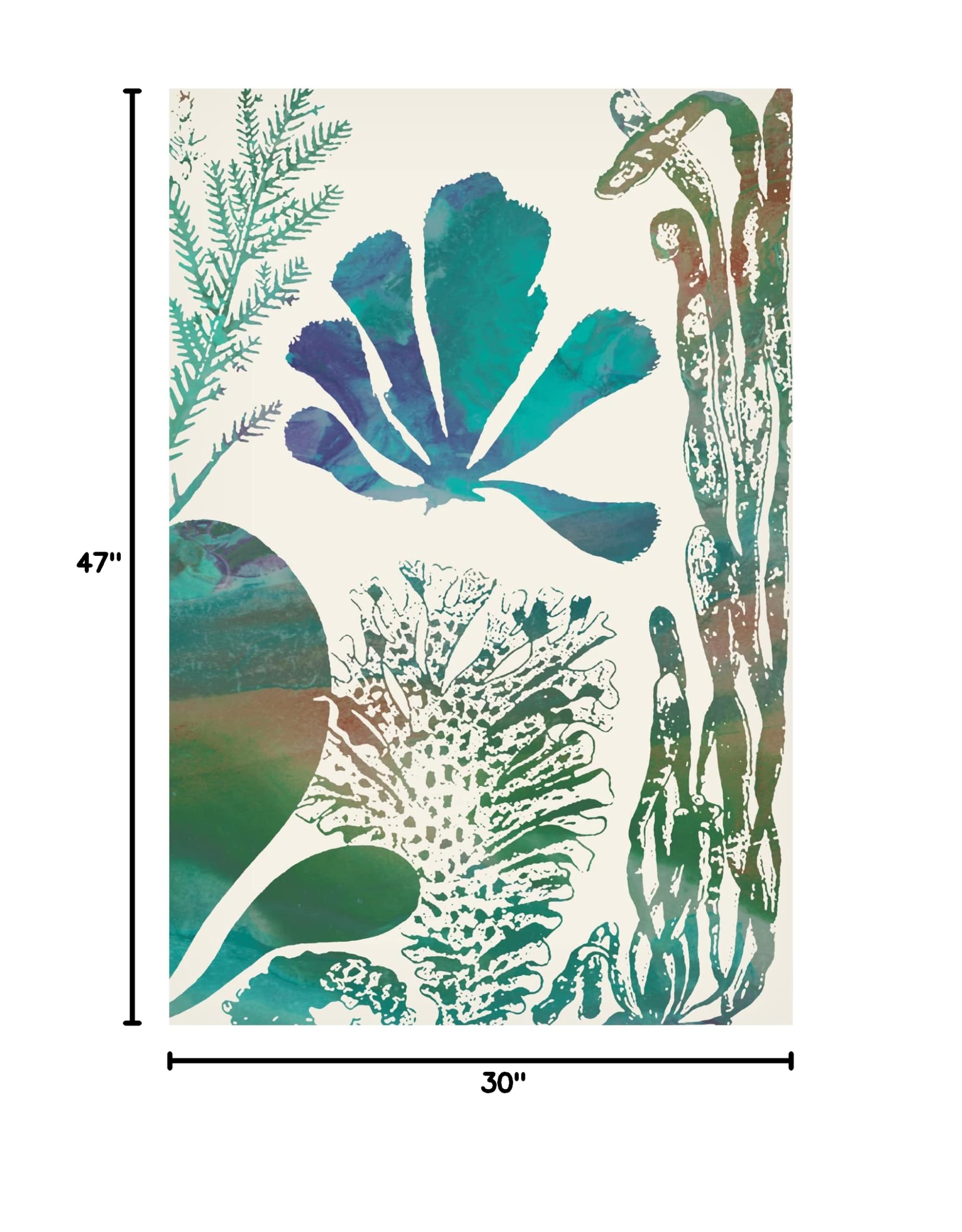 Trademark Fine Art 'Aquatic Assemblage I' Canvas Wall Art by Sharon Chandler - Perfect for Living Room, Bedroom & Office Decor