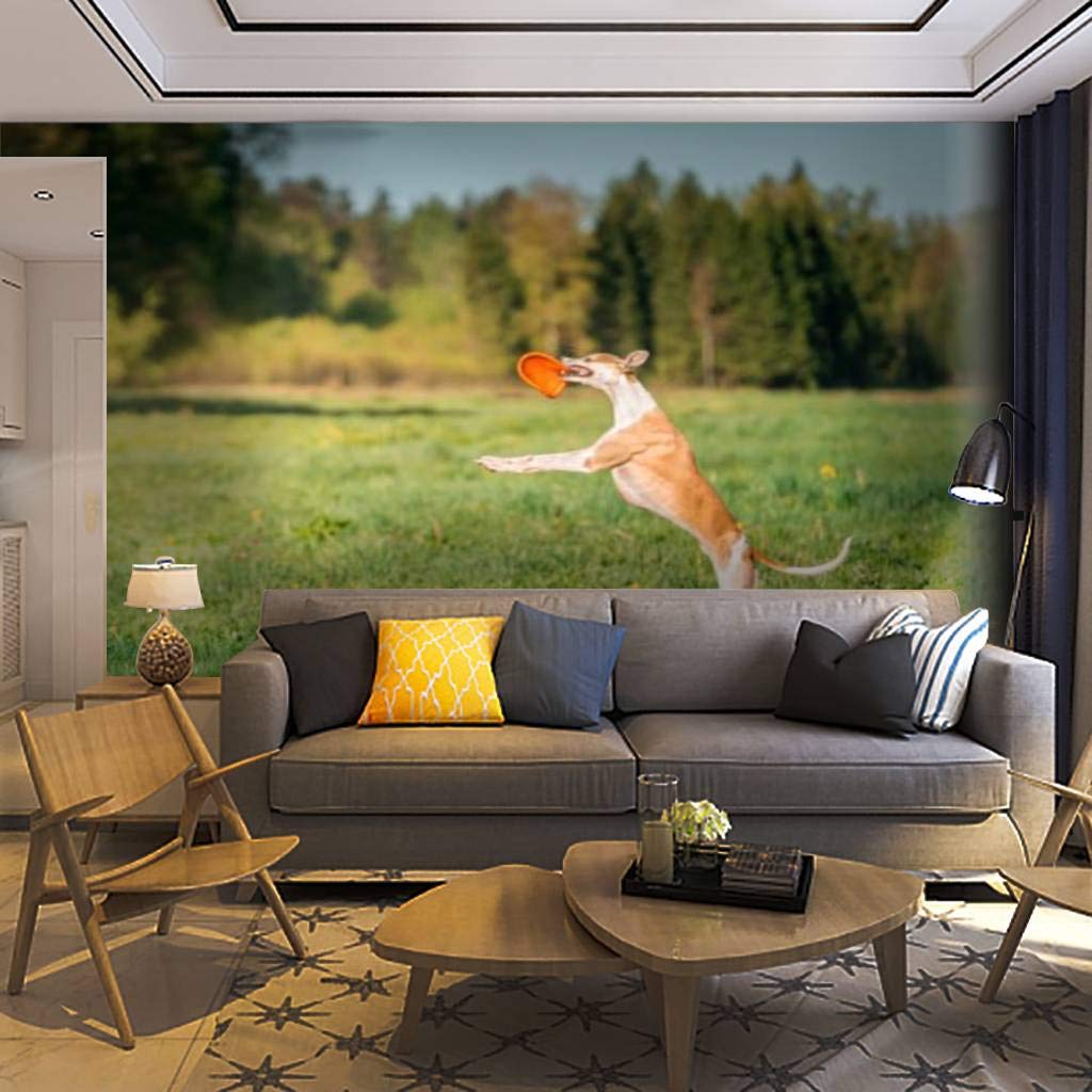 Self-Adhesive Removable Greyhound Biting Flying Disk Wall Mural - Peel & Stick Wall Decal for Living Room, Bedroom, Home Decor | Perfect for Pet Lovers & Modern Interior Design