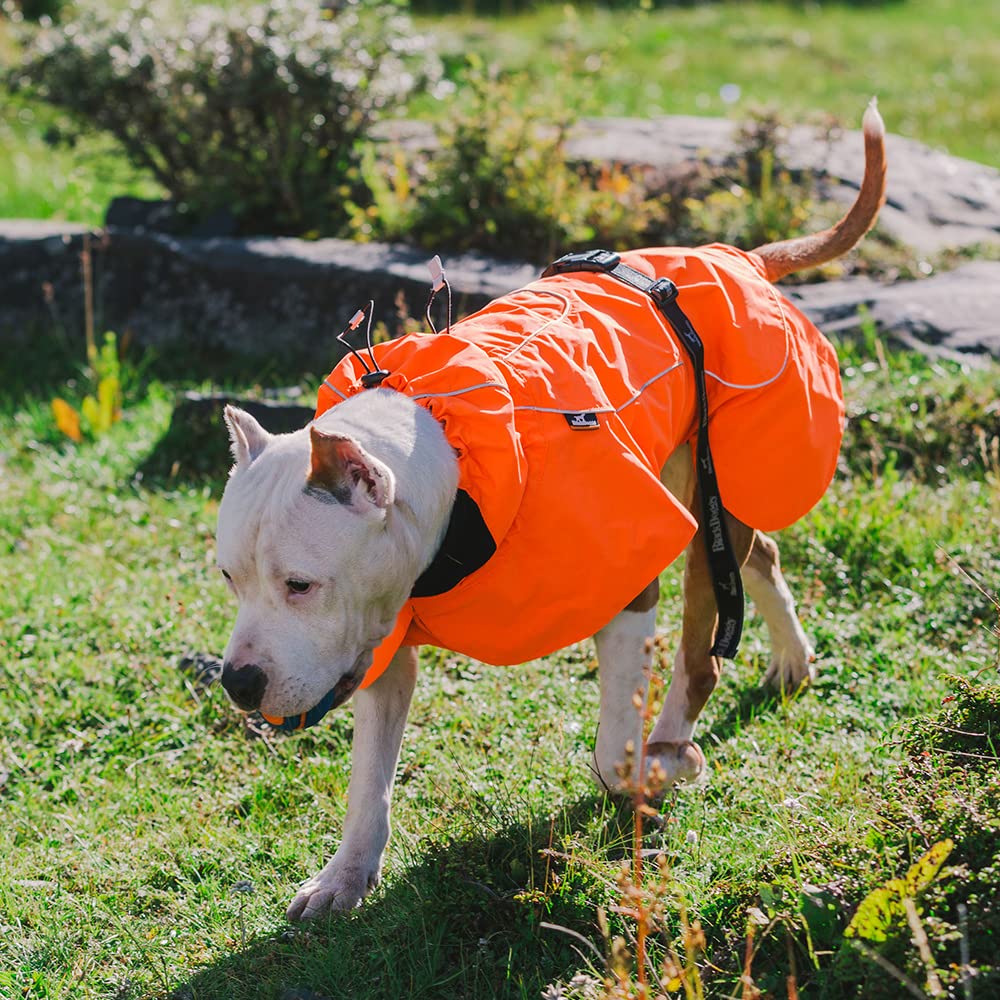 Waterproof Warm Dog Coat XL - Adjustable Cozy Jacket for Outdoor Adventures