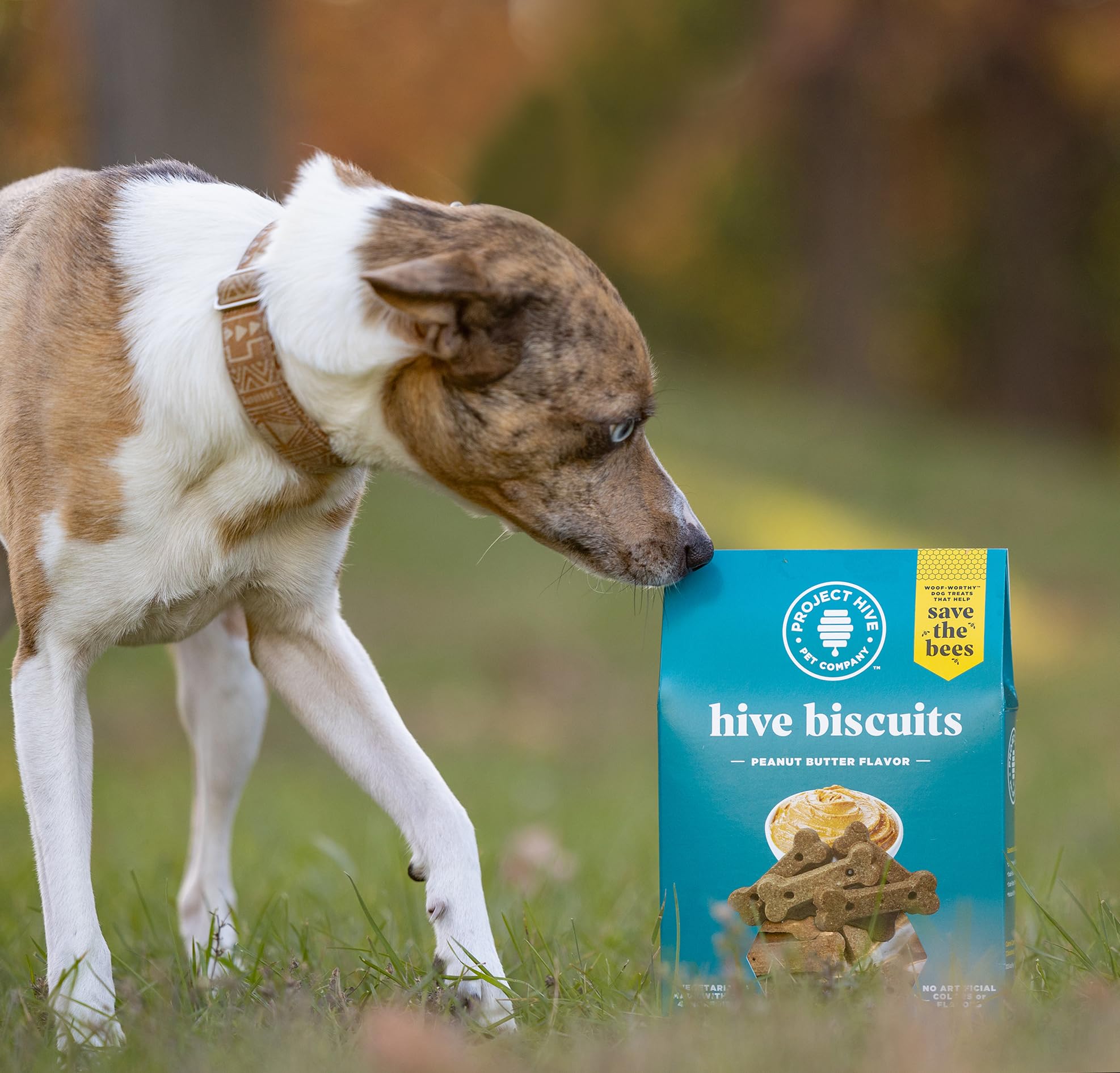 Hive Peanut Butter Dog Biscuits – 2 Pack | Healthy, Non-GMO, Organic Dog Treats for Training | Made in USA for All Breeds | Perfect for Reward, Obedience & Positive Reinforcement Training