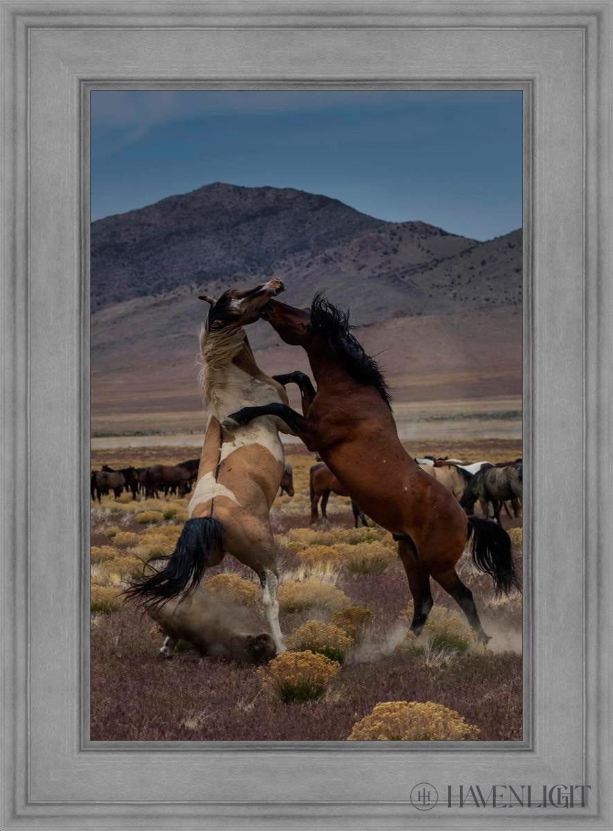Desert Duel 1 by Greg Sargent - Western Adventure Novel for Adults | Perfect for Book Clubs, Gifts & Western Fiction Fans