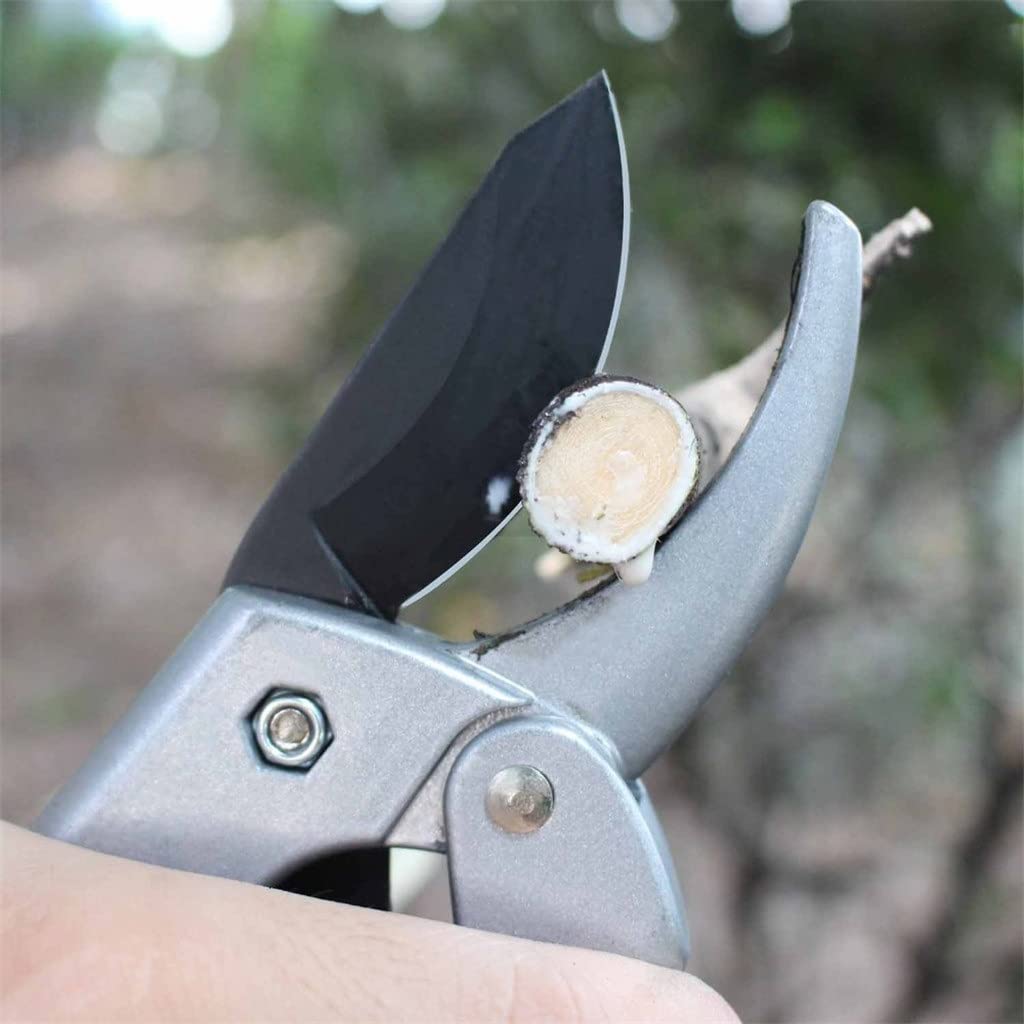 8 Inch Power Drive Ratchet Anvil Pruning Shears - Heavy Duty Garden Scissors for Tree Trimming, Branch Cutting & Plant Care | Ideal for Gardening, Landscaping & Outdoor Use