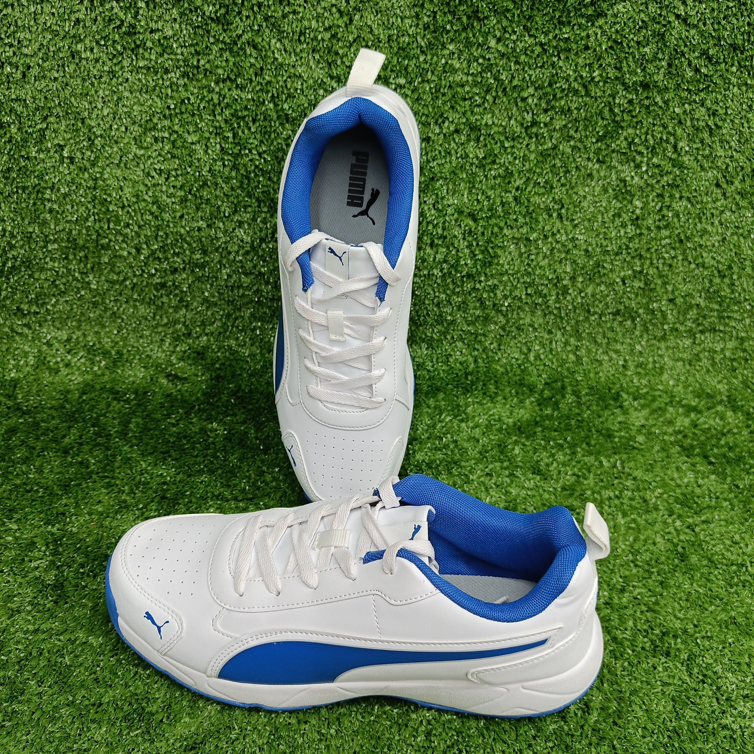 Puma White & Blue Team Royal Cricket Shoes - Lightweight & Durable for Men & Women - Perfect for Cricket Matches, Training & Outdoor Sports