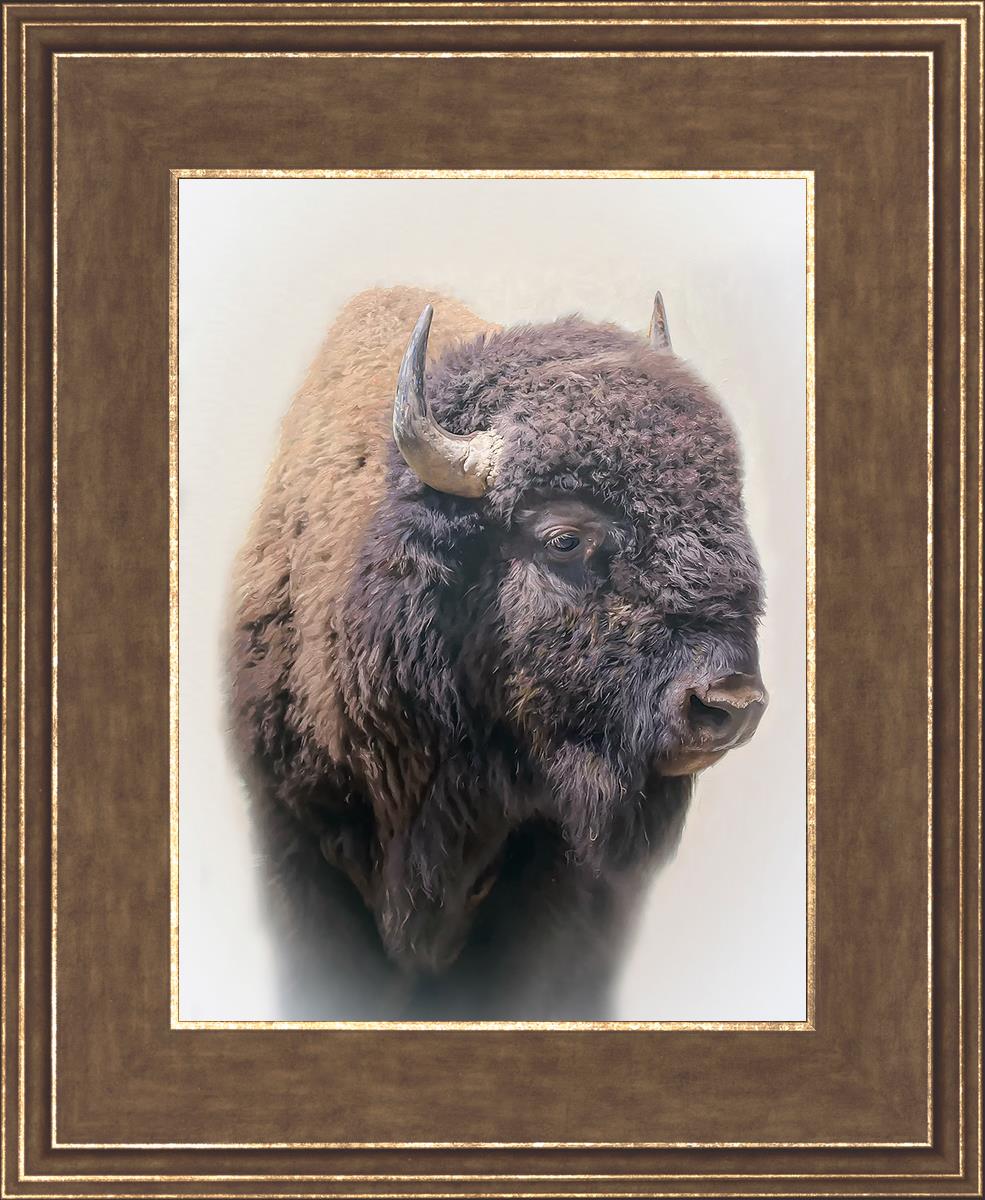 Bison By Matthew Grant | Premium Bison Meat & Jerky | High-Protein Snacks for Camping, Hiking & Outdoor Adventures