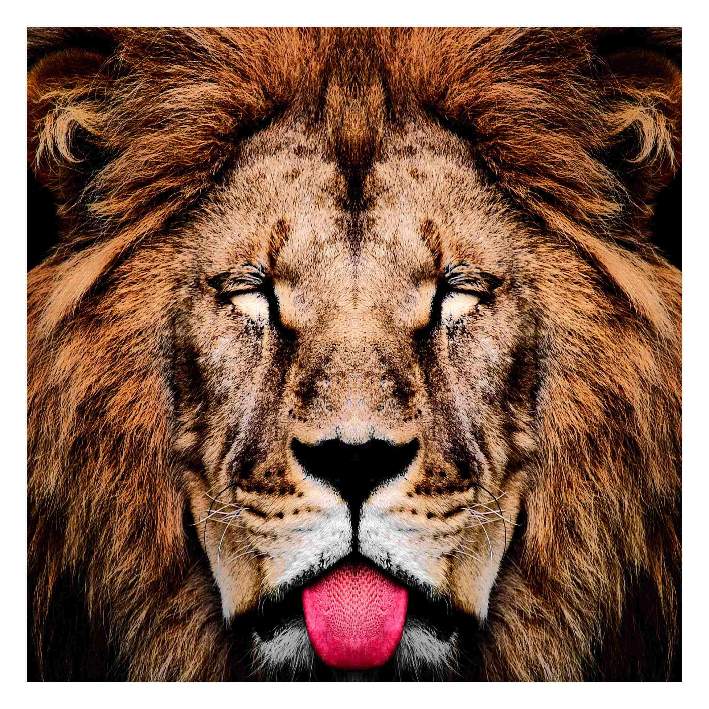 Premium Non-Woven Wallpaper - Cheeky Leo Design - Self-Adhesive Square Wall Mural for Feature Walls | Modern Photo Wall Art for Bedroom, Living Room & Nursery Decor | Easy Peel & Stick Installation for Home Renovation