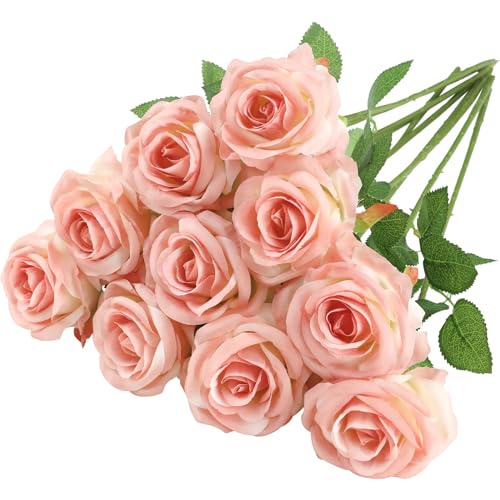 Gradient Light Pink