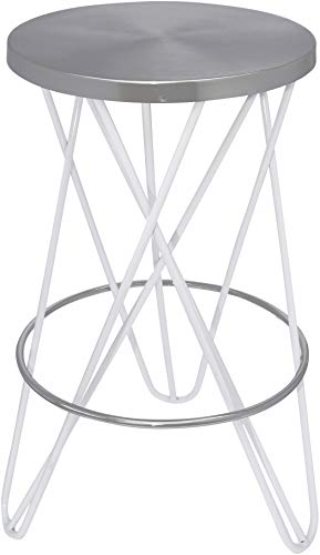 White, Brushed Silver Finish