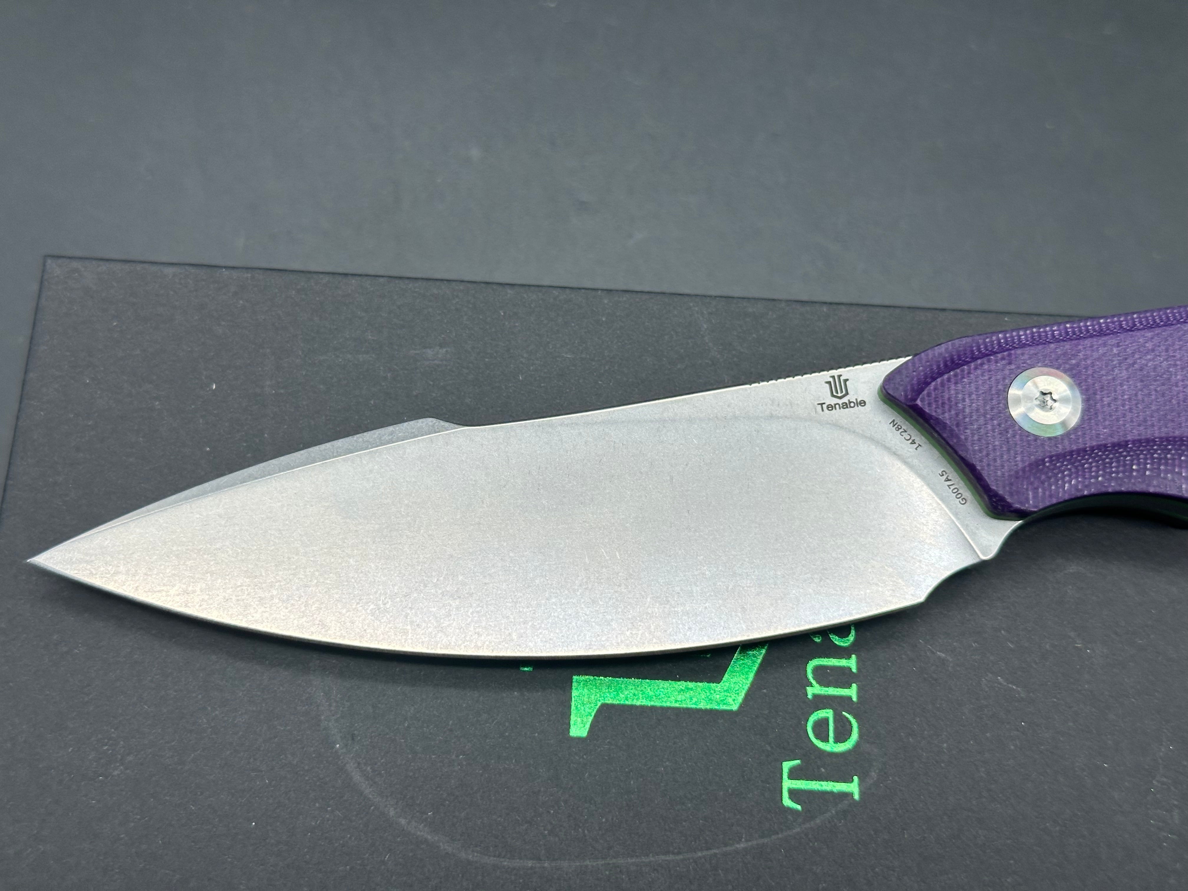 TENABLE LUCCIO Fixed Blade Knife - Purple G10 Handle, 14C28N Plain Stonewash Blade - Perfect for Camping, Hunting & Outdoor Survival