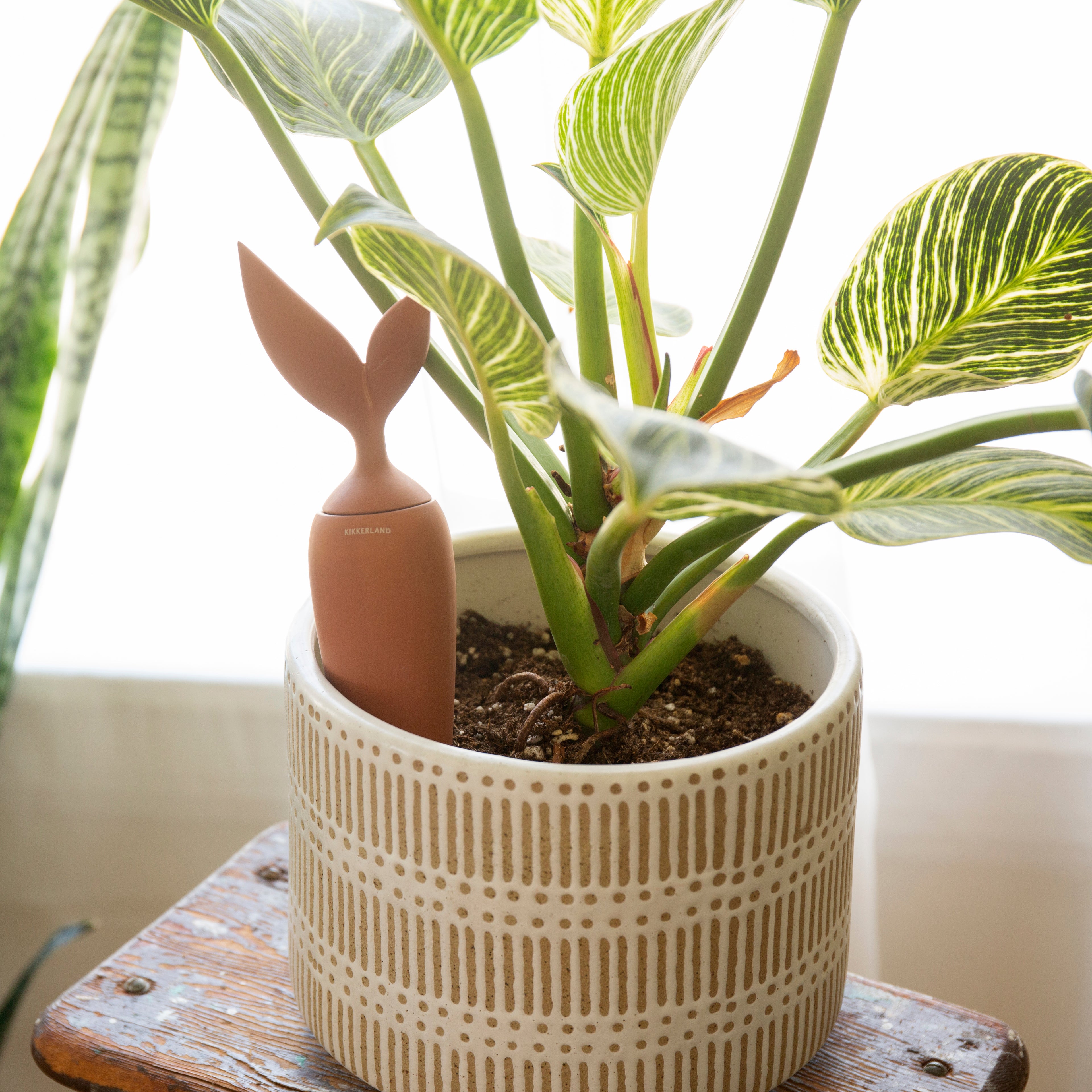 Terracotta Watering Stake - Self-Watering Spikes for Plants, Automatic Plant Watering System for Indoor & Outdoor Potted Plants - Perfect for Vacation, Garden, and Houseplant Care