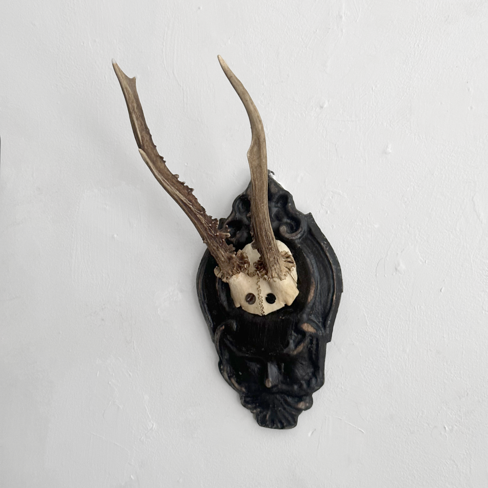 Handmade Black Forest Deer Antlers on Carved Wood Plaque - Rustic Home Decor for Cabin, Lodge & Hunting Cabin Wall Art (#556)