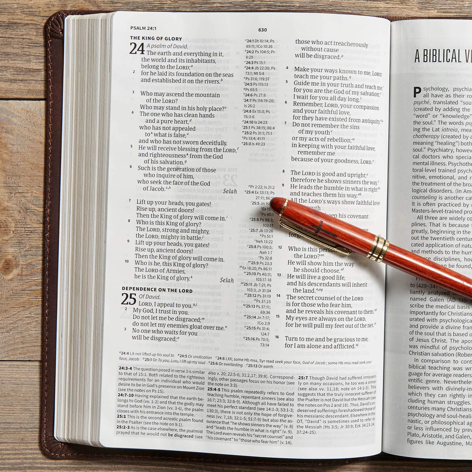 CSB Worldview Study Bible - Brown Genuine Leather Cover, ESV Translation | Perfect for Bible Study, Church Services & Personal Devotion