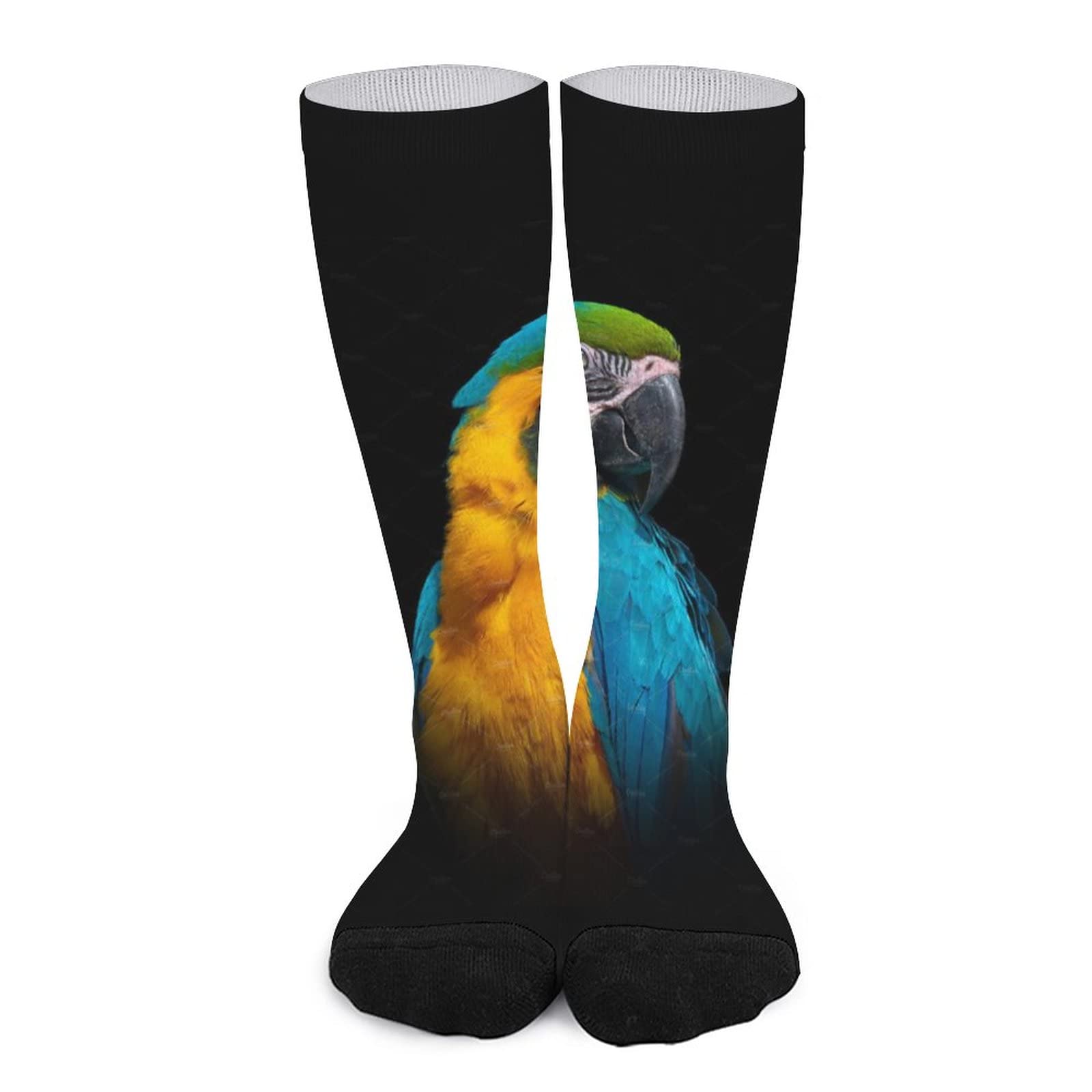 Stylish Printed Tube Socks with Parrot Design - Dark High Stockings for Men & Women | Warm Sports Socks for Running, Gym & Casual Wear