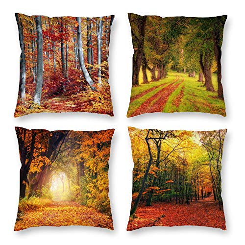 Fall