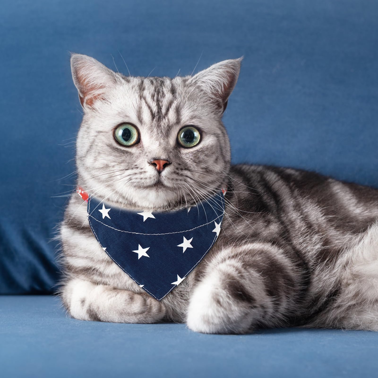 E-Clover Patriotic Cat Collar with American Flag Bandana & Matching Scrunchie - 4th of July Pet Accessories for Kittens - Blue Red White Pet Bibs - Perfect for Independence Day Celebrations & Gift for Cat Owners