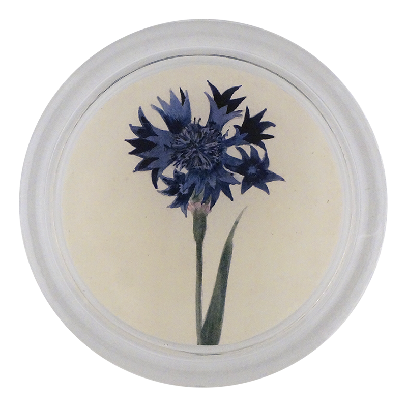 4C Blue Bottle PNG - High-Quality Transparent Image for Web Design, Marketing & Social Media Posts - Perfect for E-commerce, Blog Graphics & Digital Projects