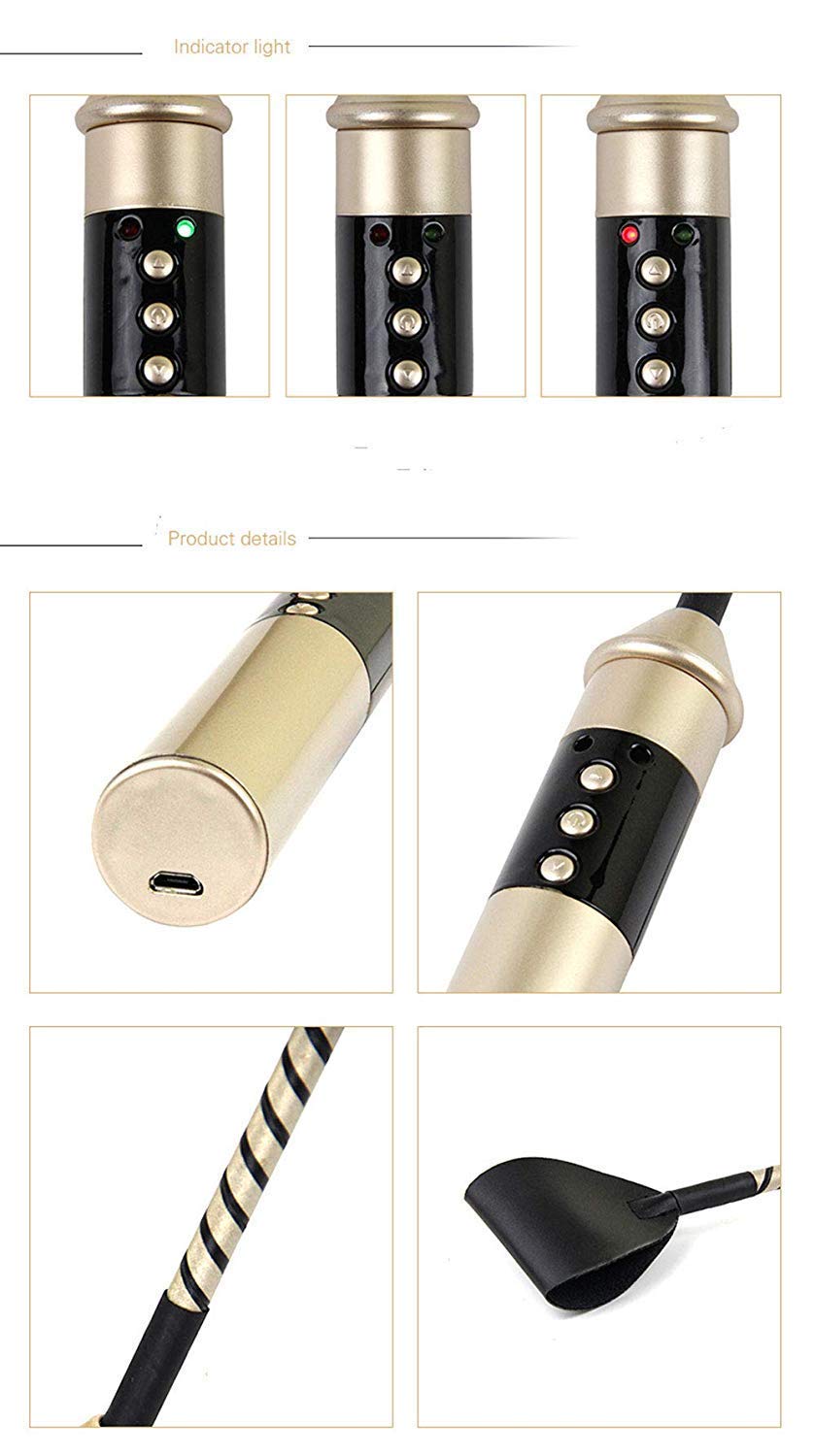 Premium Electro Shock Leather Whip - BDSM E-Stim Sex Toy for Couples & Fetish Play - Electric Stimulation Whip for SM Torture & Sensory Play - Perfect for Spicing Up Relationships & Adult Roleplay Games