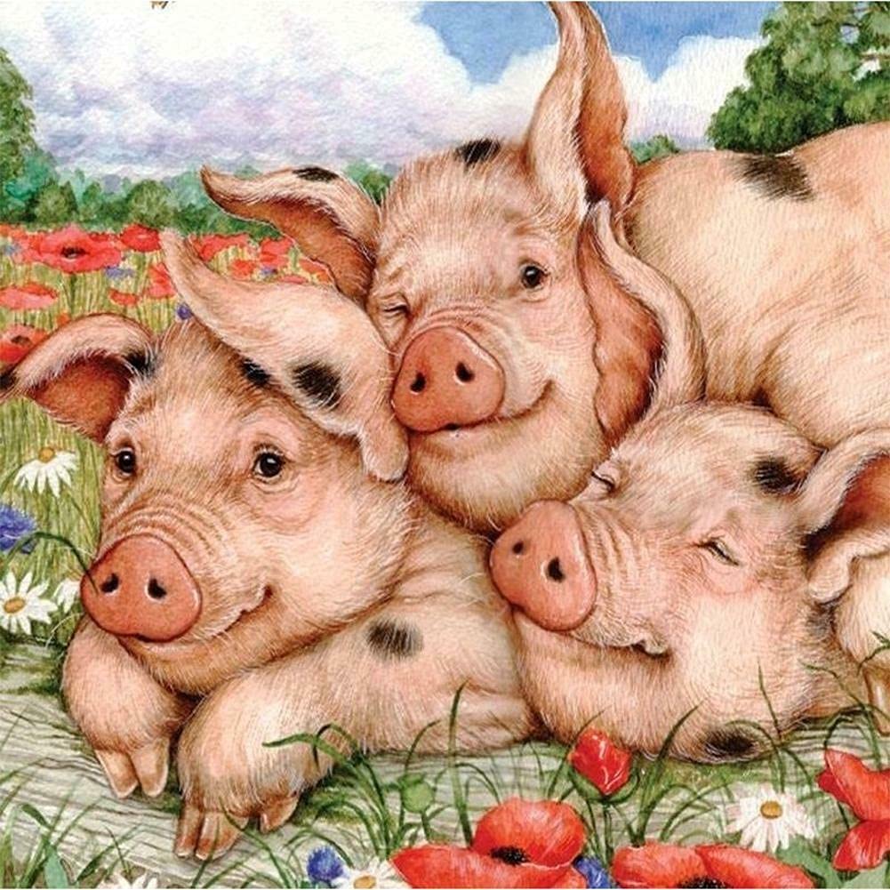 1000-Piece Pig Puzzle for Adults - Colorful Country Pet Toy for Relaxation