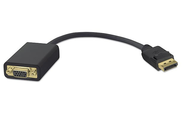 LEADTEK DP to VGA Passive Adapter Cable - X0101G00200 - Connect DisplayPort to VGA Monitor for Office, Home & Gaming Setup