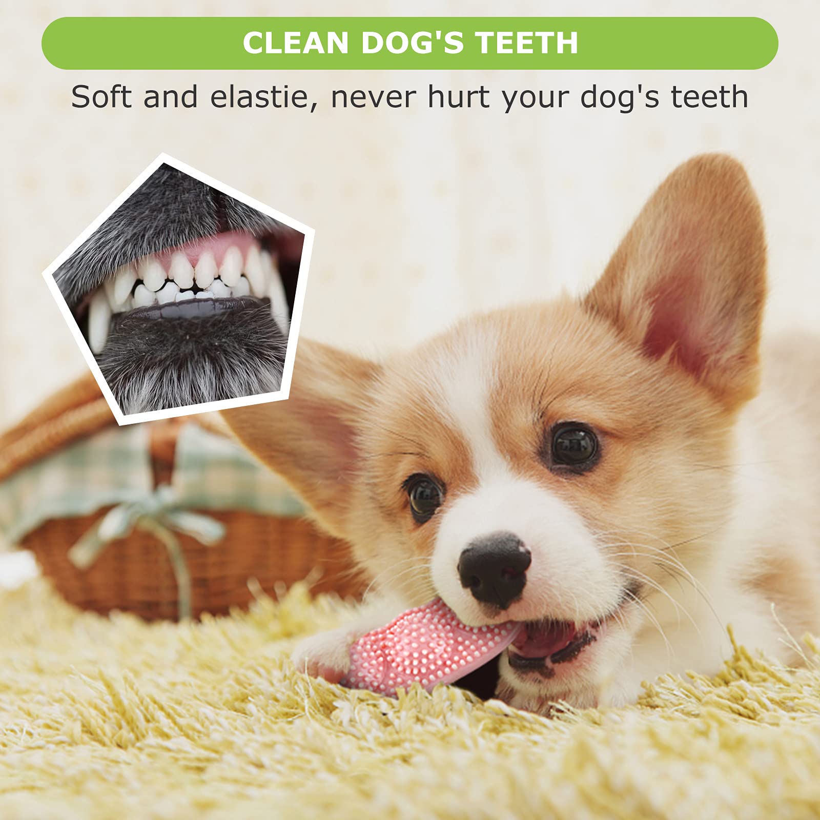 **3-Pack Puppy Teething Toys for Small & Medium Dogs – Soft, Durable Chew Toys for 2-8 Month Old Puppies – Promotes Dental Health & Soothes Teething Pain – Perfect for Cleaning Teeth & Protecting Oral Health – Ideal for Playtime & Training**