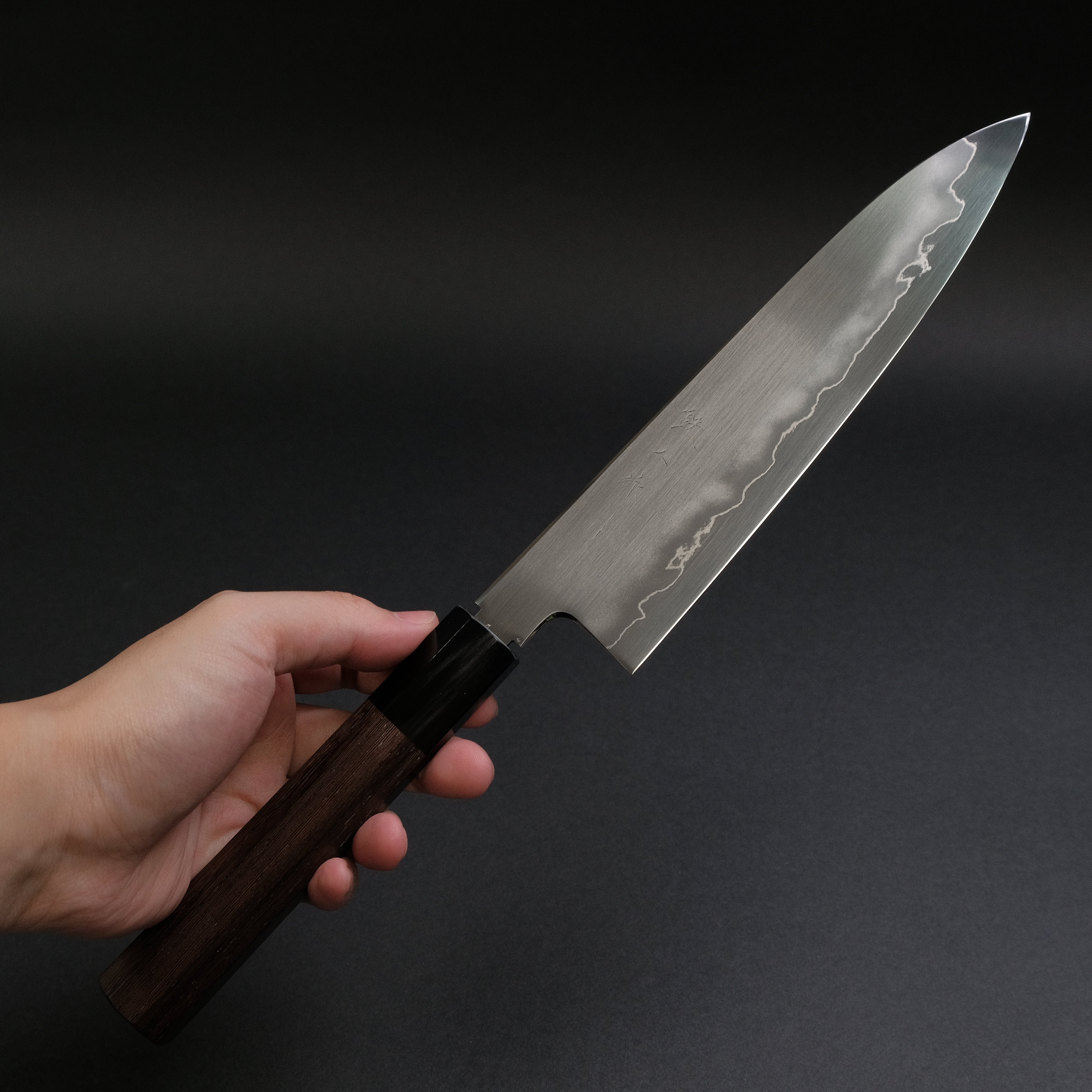 Tetsujin Silver #3 Ukiba Gyuto 210mm Japanese Chef Knife with Taihei Tagayasan Handle - Professional Kitchen Knife for Slicing, Dicing & Precision Cooking
