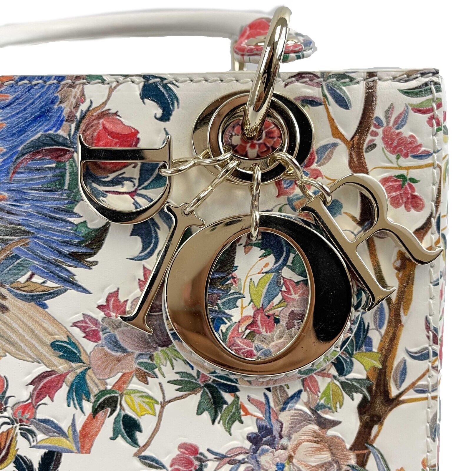 Dior Medium Lady Dior Handbag - Jardin D'Hiver Hand-Painted Leather Top Handle Bag with Adjustable Strap | Luxury Designer Purse for Women, Perfect for Parties, Weddings & Special Occasions