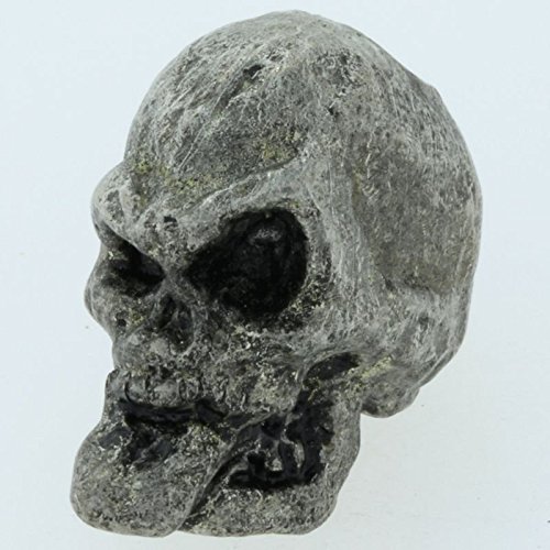 Neener Skull