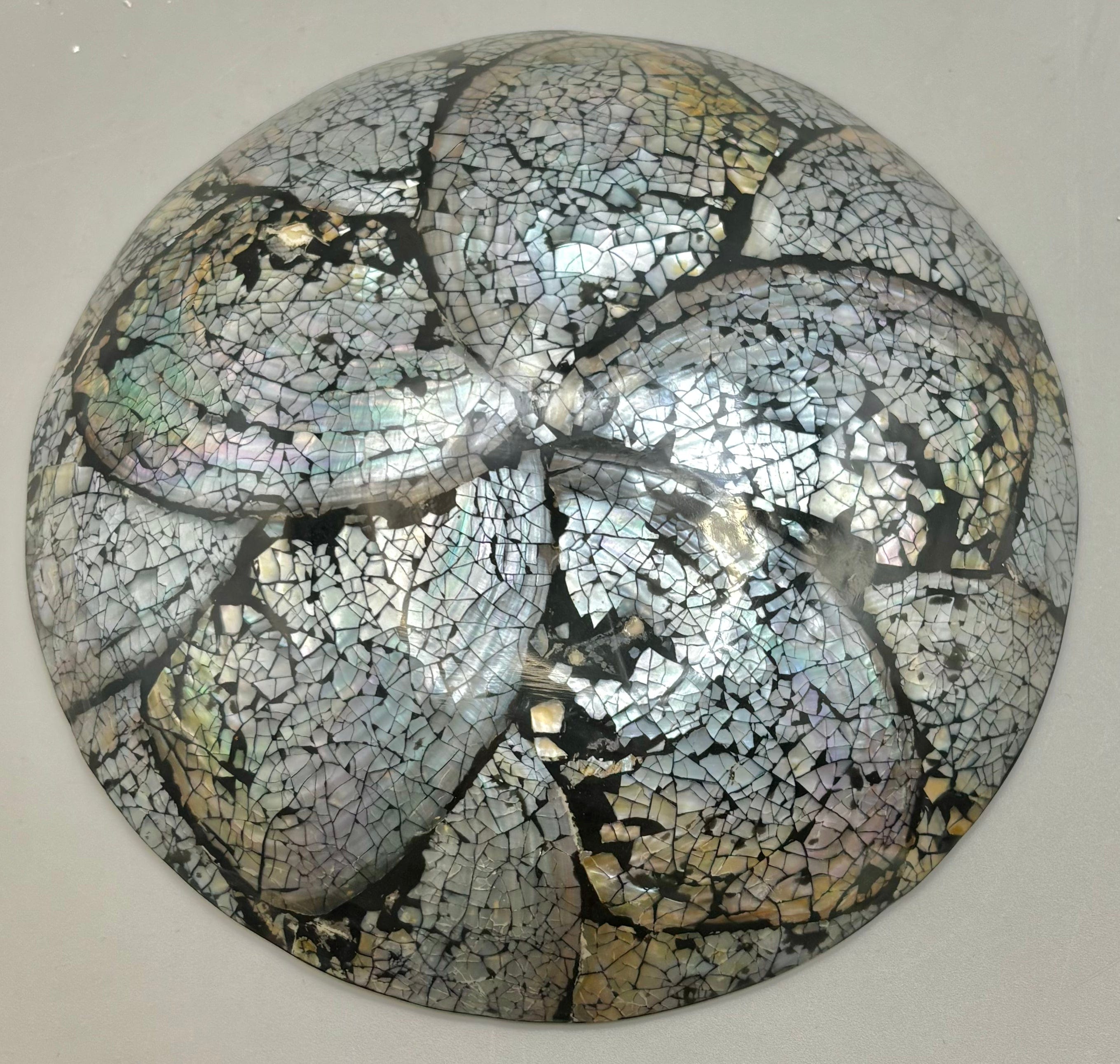 Premium Australian Abalone Shell Plate - Small Size | Eco-Friendly & Elegant Serving Dish for Seafood, Sushi, Appetizers & Home Decor