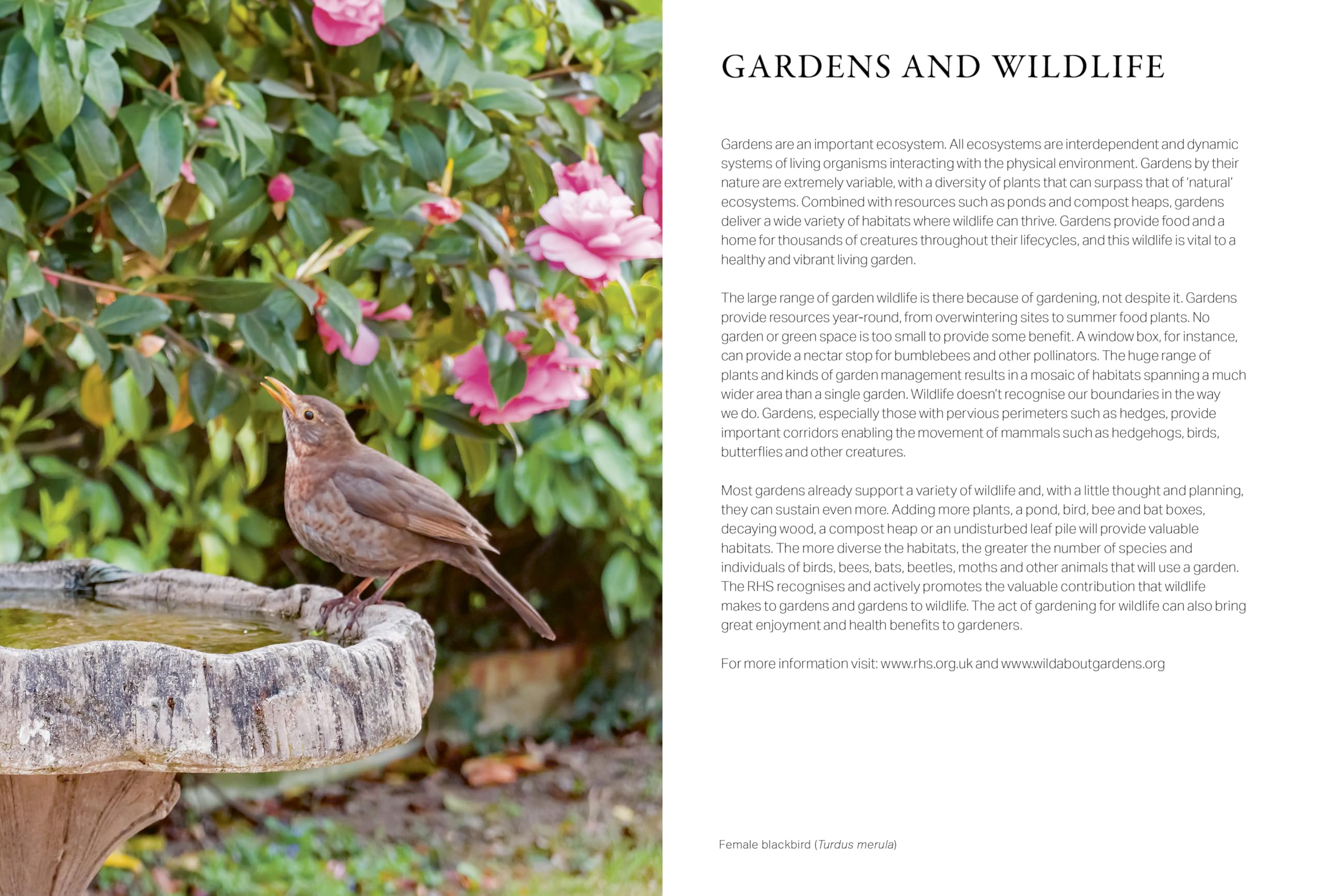 RHS Wild in the Garden Diary 2025 - Gardening Planner & Nature Journal for Outdoor Enthusiasts | Perfect for Tracking Plants, Wildlife & Seasonal Changes