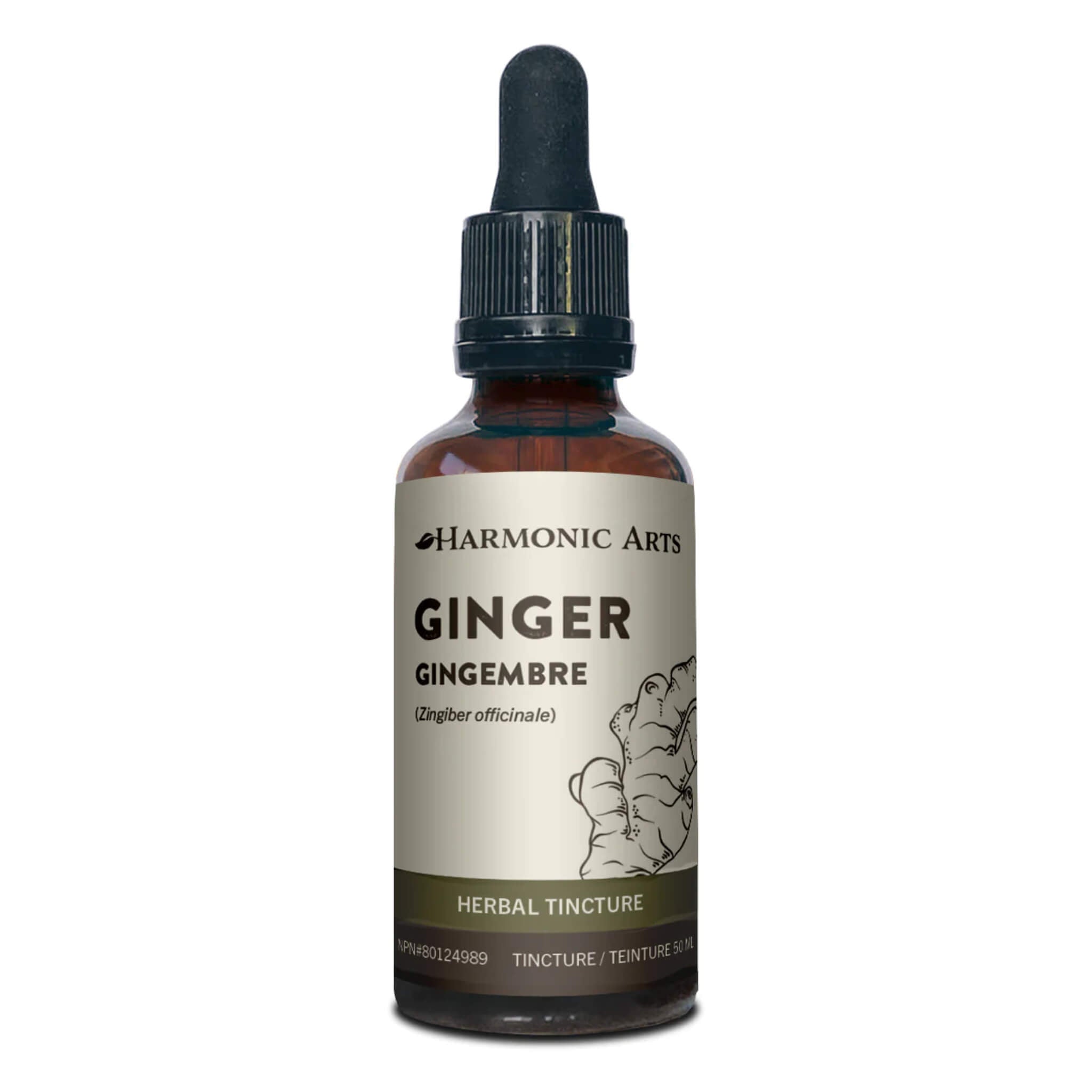 Organic Ginger Root Powder - Zingiber Officinale for Cooking, Tea & Wellness - Natural Digestive Aid & Immune Support