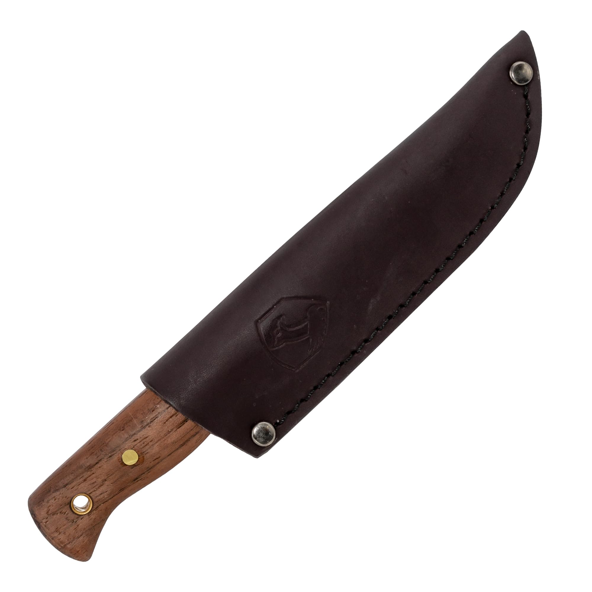 Condor Bushlore Knife - Premium Bushcraft Survival Knife with 1075 High Carbon Steel Blade & Walnut Handle - Scandi Grind Fixed Blade Knife (4.3