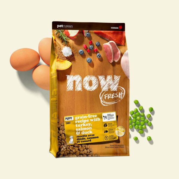 Now Fresh Turkey, Salmon & Duck Recipe Dry Puppy Food - 22lb Bag | Grain-Free High Protein Puppy Kibble for Small & Large Breeds | Perfect for Growing Puppies & Active Dogs