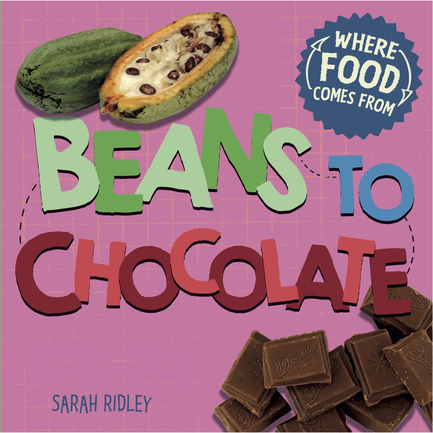 Premium Beans to Chocolate - Homemade for Baking & Gifting