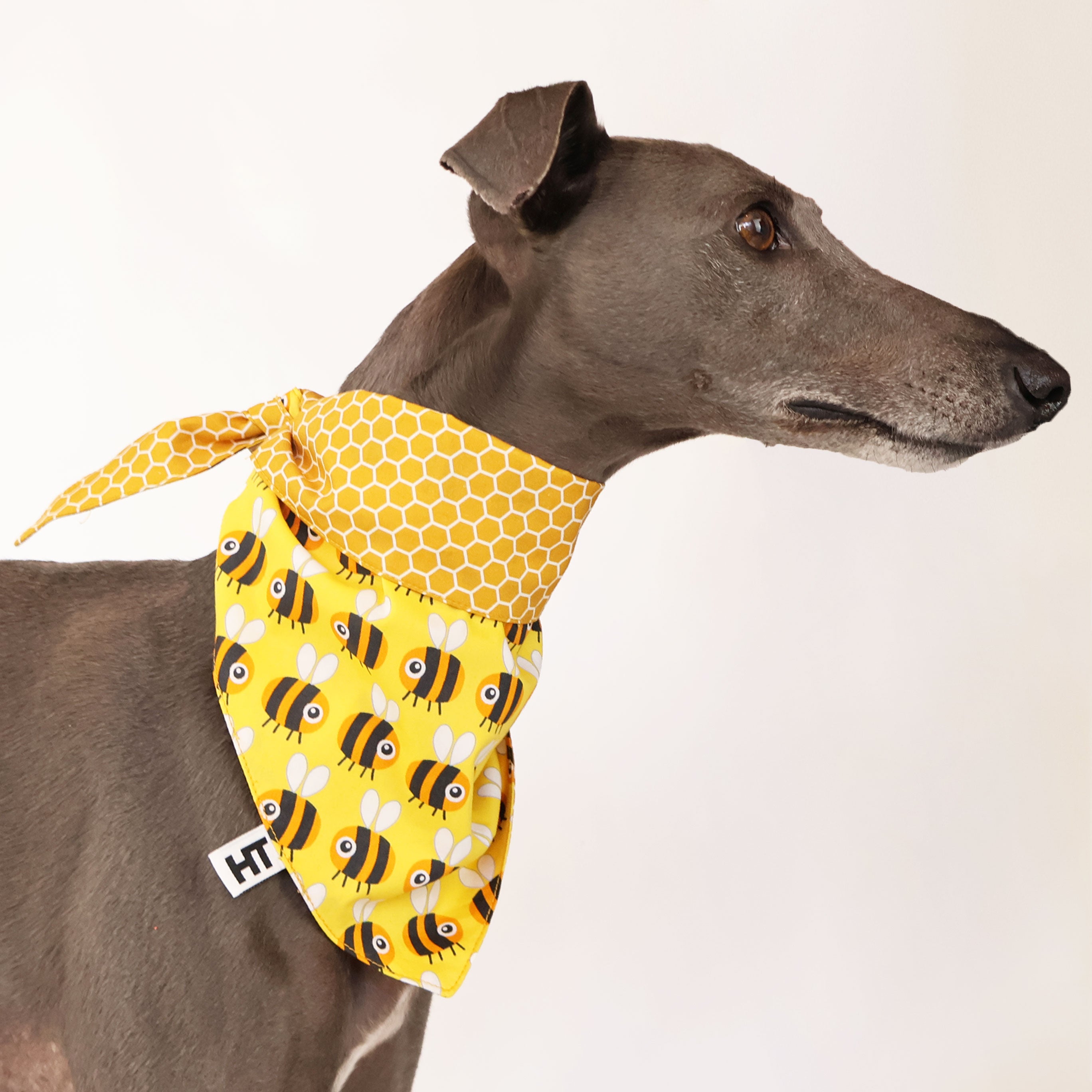 Buzzy Bandana - Stylish & Comfortable Fashion Accessory for Men & Women | Perfect for Outdoor Activities, Concerts, and Everyday Wear