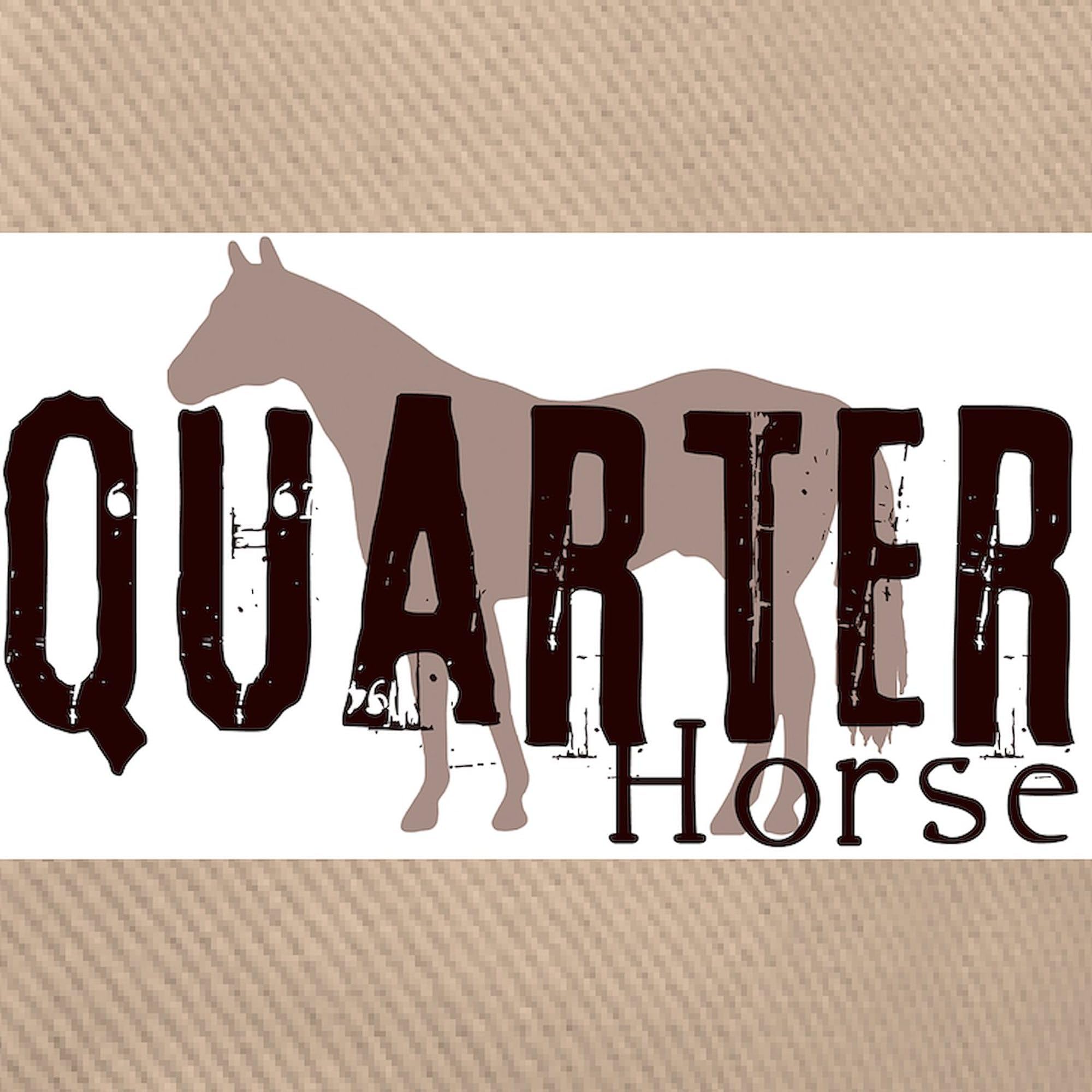 Quarter Horse Cap - Adjustable Baseball Hat for Riding & Outdoor