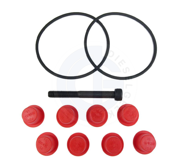 High-Quality Viton Pump Head O-Ring Seal Kit - Durable & Chemical Resistant for Industrial Pumps, Hydraulic Systems & Water Treatment Applications