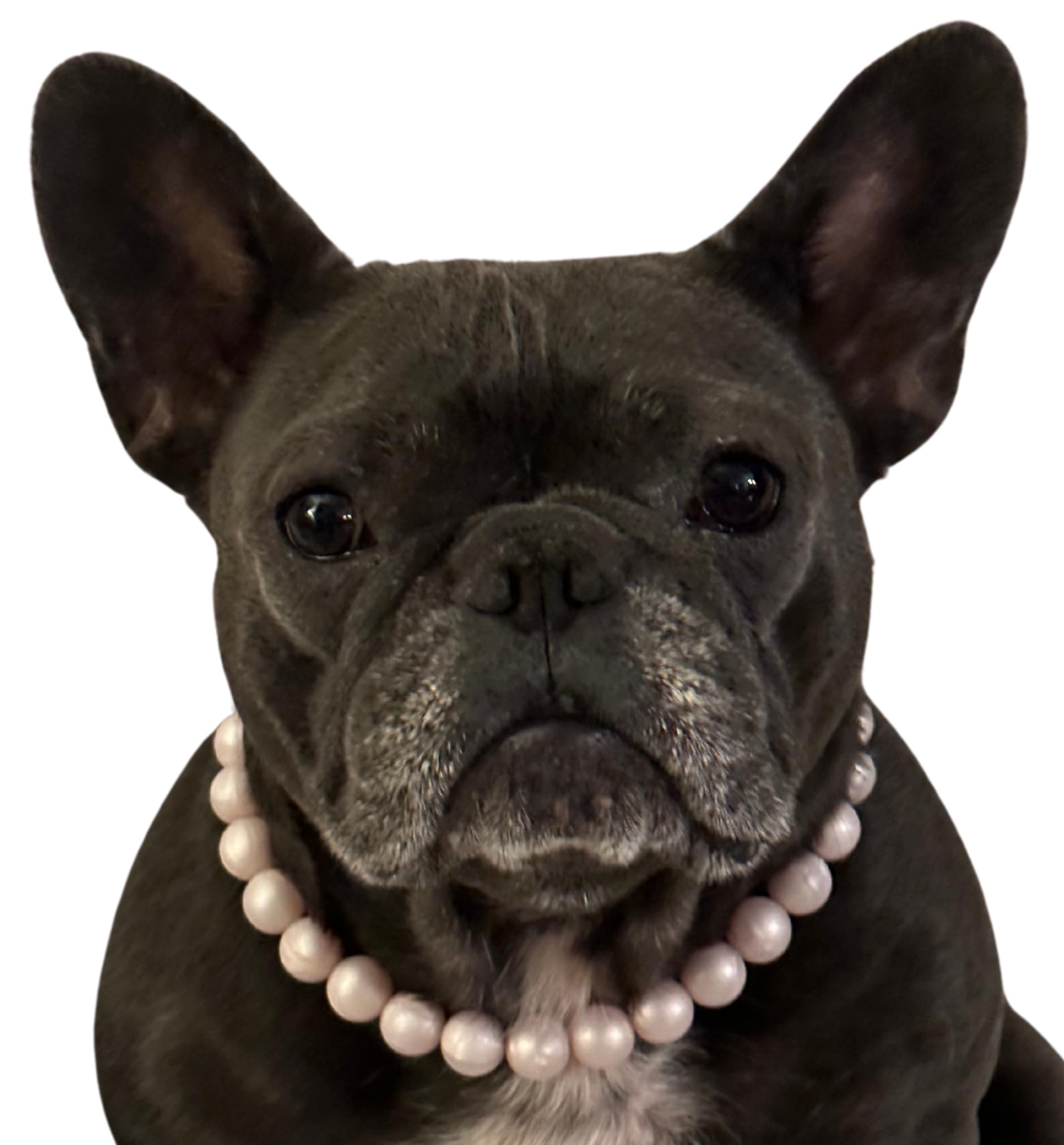 Pink Pearl Dog Necklace - Medium 16-18 Inch Solid Adjustable Pet Collar for Small Dogs - Perfect for Daily Walks, Pet Photos & Special Occasions
