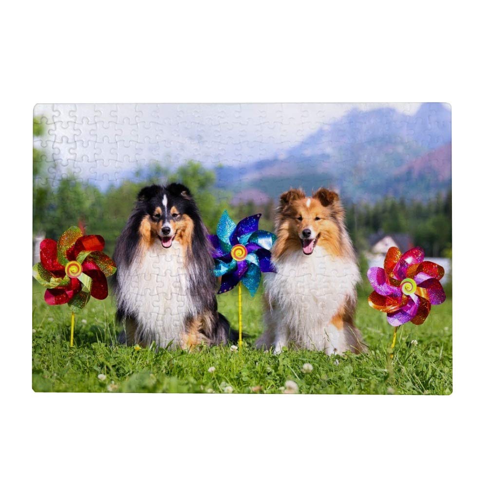 Vantaso 1000-Piece Jigsaw Puzzle for Adults & Kids Ages 10+ - Shetland Sheepdog Couple Puzzle Game | Fun Family Activity, Brain Teaser & Home Decor