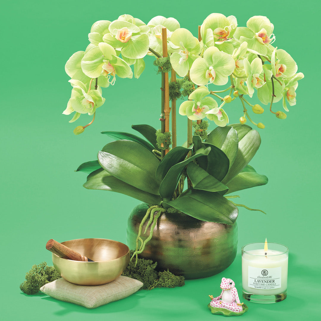 Tremé Chartreuse Orchids - Exotic Artificial Silk Flowers for Home Décor, Wedding Centerpieces & Party Arrangements