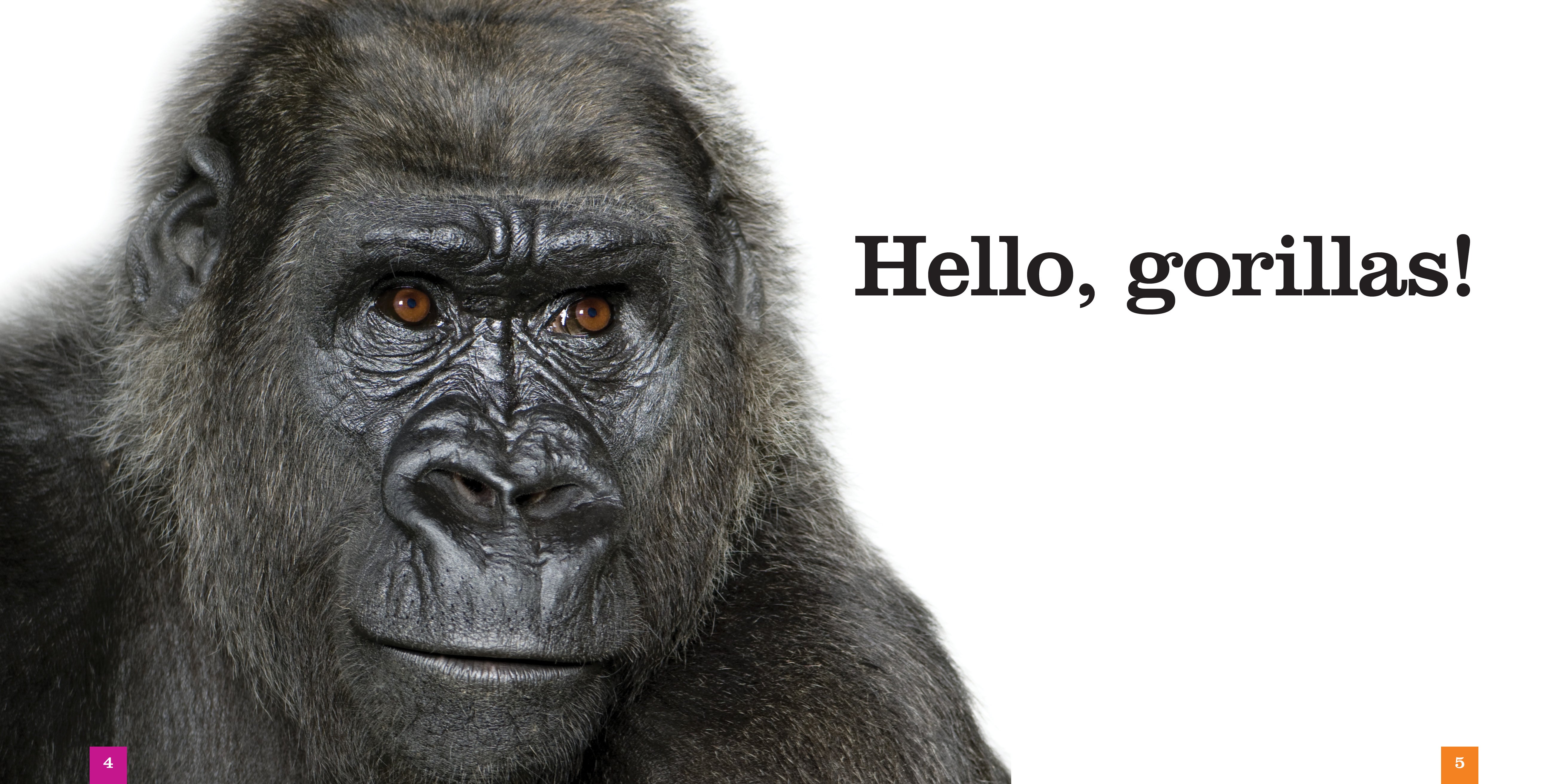 Gorillas Book - ISBN 9781608184545 - Perfect for Wildlife Enthusiasts & Nature Lovers