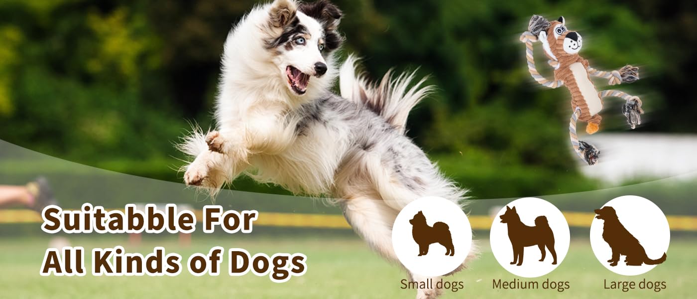 Durable Squeaky Dog Chew Toys with Rope - Interactive Lion Shape Puppy Toy for Small, Medium & Large Dogs | Perfect for Playtime, Training & Teeth Cleaning