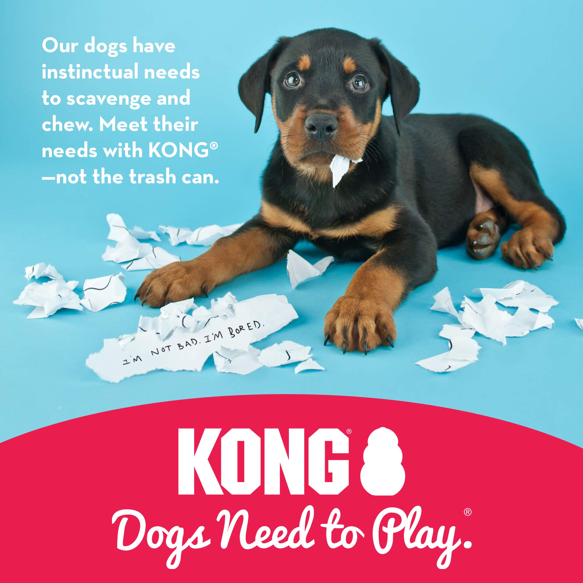 KONG Classic Stuffable Dog Toy - Durable Natural Rubber Chew & Fetch Toy for Small Dogs - Treat Dispenser with Erratic Bounce for Extended Playtime - Perfect for Indoor & Outdoor Training, Boredom Relief, and Puppy Teething