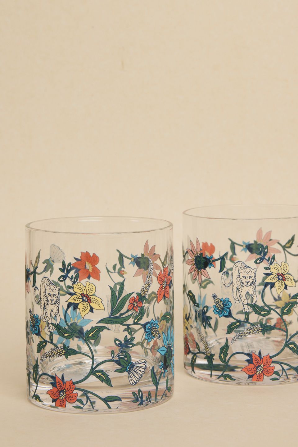 Botswana Botanical Print Glass Tumbler 400ml - Insulated Double Wall Glass Cup for Hot & Cold Drinks - Perfect for Coffee, Tea, Juice, and Office Use