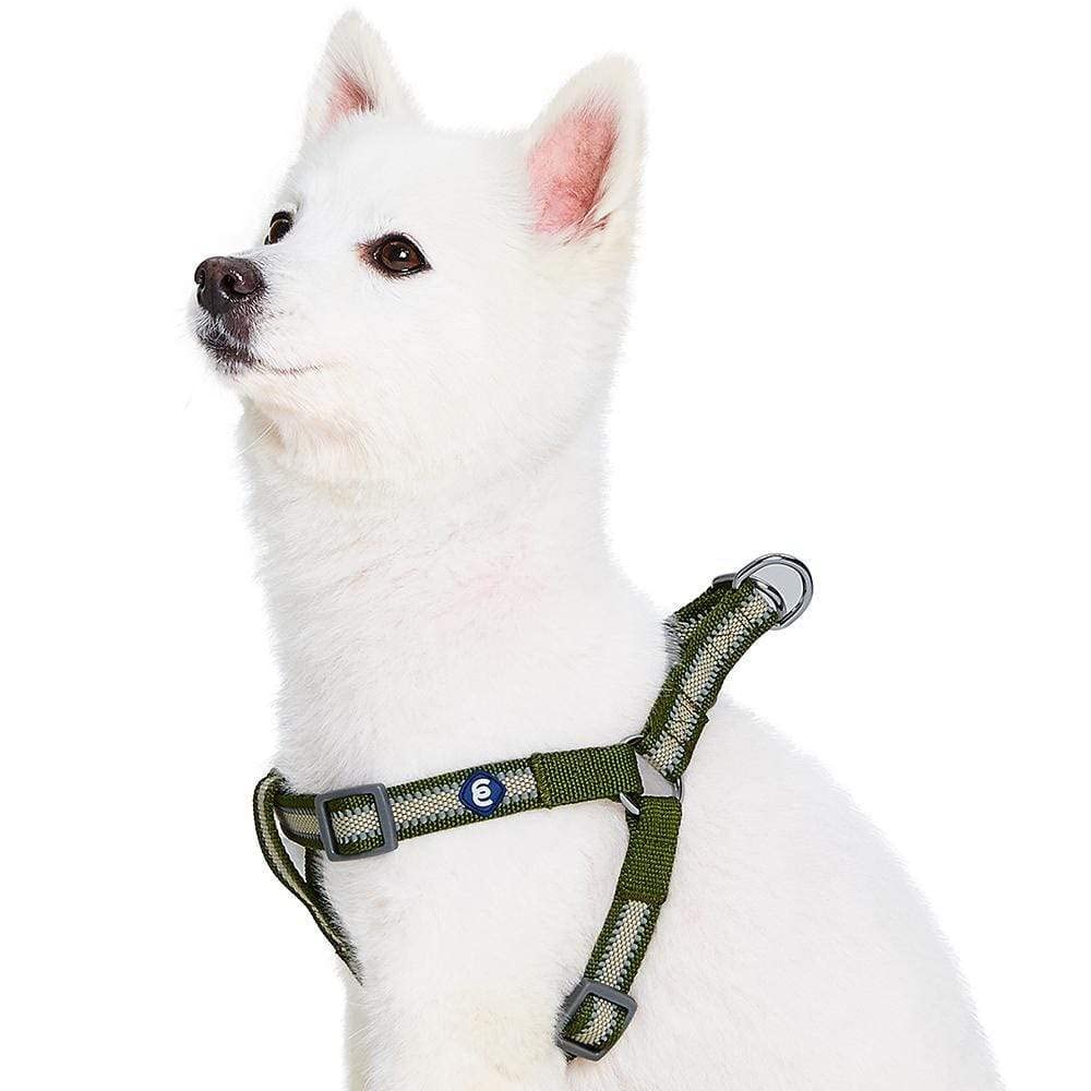 Blueberry Pet Essentials Step-in Reflective Dog Harness - Adjustable Dark Olive Large (26